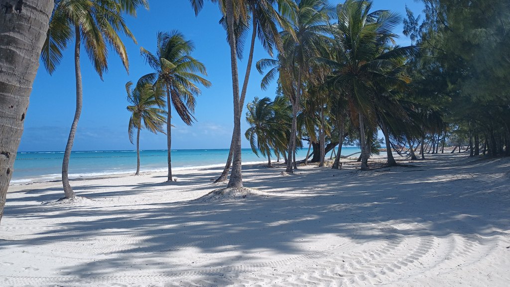 Plage de sable blanc et cocotiers près de Punta Cana