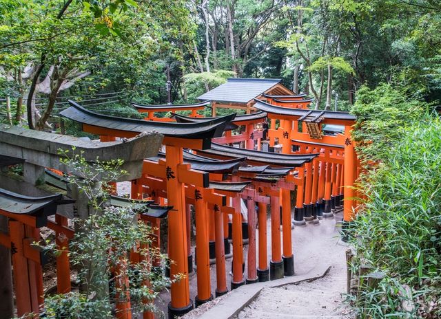 Torii gates at Fushimi Inari shrine